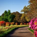 Community Garden Project Seeks Volunteers For Upcoming Season