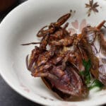 Teens work to keep giant water bugs on the menu