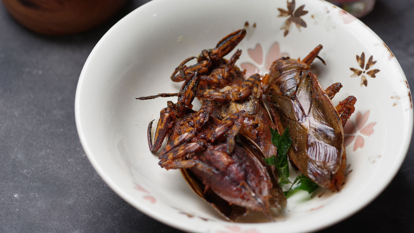 Teens work to keep giant water bugs on the menu
