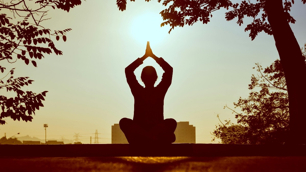 'India made yoga, Bali and US made billions': Analyst asks, what did we protect?