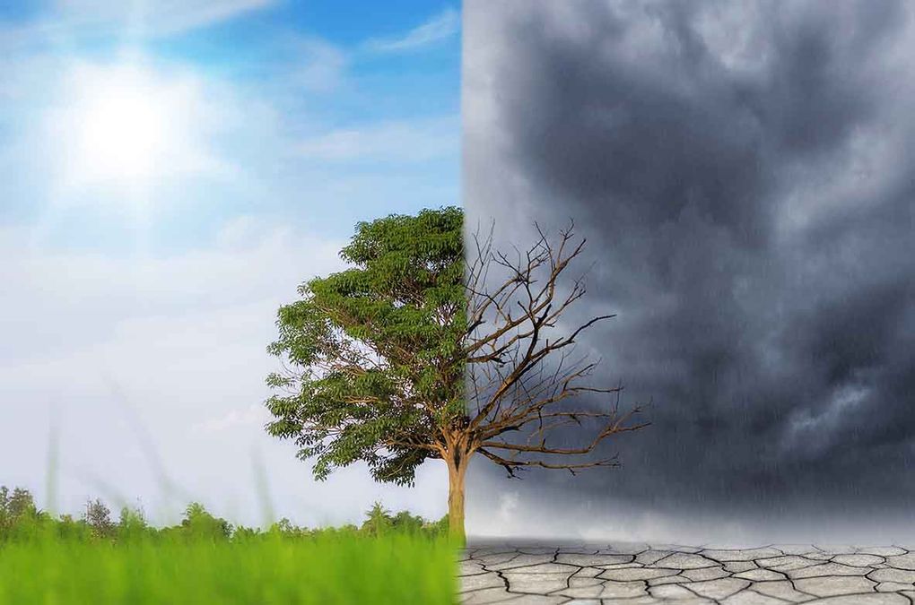 By 2100, Mumbai may not be be Mumbai anymore: The great climate redraw has started