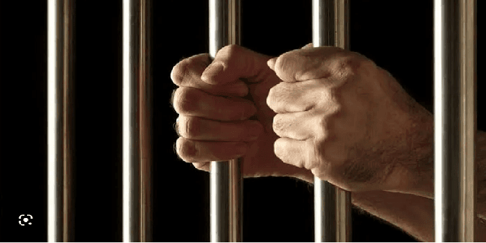 12 years Rigorous imprisonment to Drug peddler in Leh