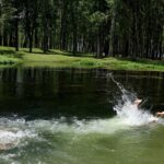 Srinagar Records 34.5°C as Mercury Rises Across Jammu Kashmir