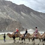 Silk Route Festival in Nubra Rekindles Trade-Era Heritage Amid New Cultural Revival