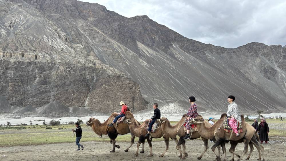 Silk Route Festival in Nubra Rekindles Trade-Era Heritage Amid New Cultural Revival