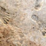 Ancient Footprints in White Sands Confirm Humans Reached America 23,000 Years Ago
