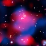 Most Distant Mini-Halo Discovered in Galaxy Cluster 10 Billion Light-Years Away