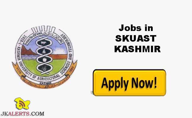SKUAST Kashmir Jobs Recruitment 2025.