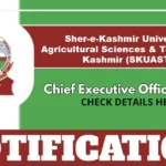 SKUAST-K CEO Post At Rural Business Incubation Centre – Apply Offline By 30 June