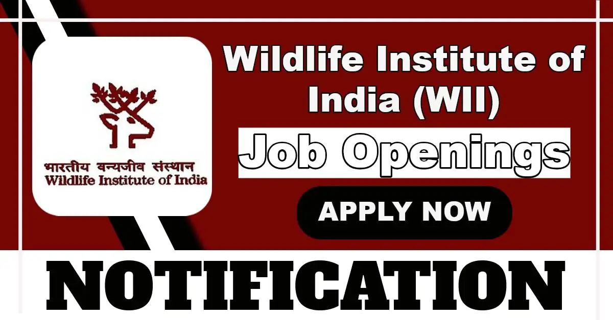 Wildlife Institute Of India (WII) DEO, Project Associate And Other Posts 2025 – Apply Offline For 35 Vacancies