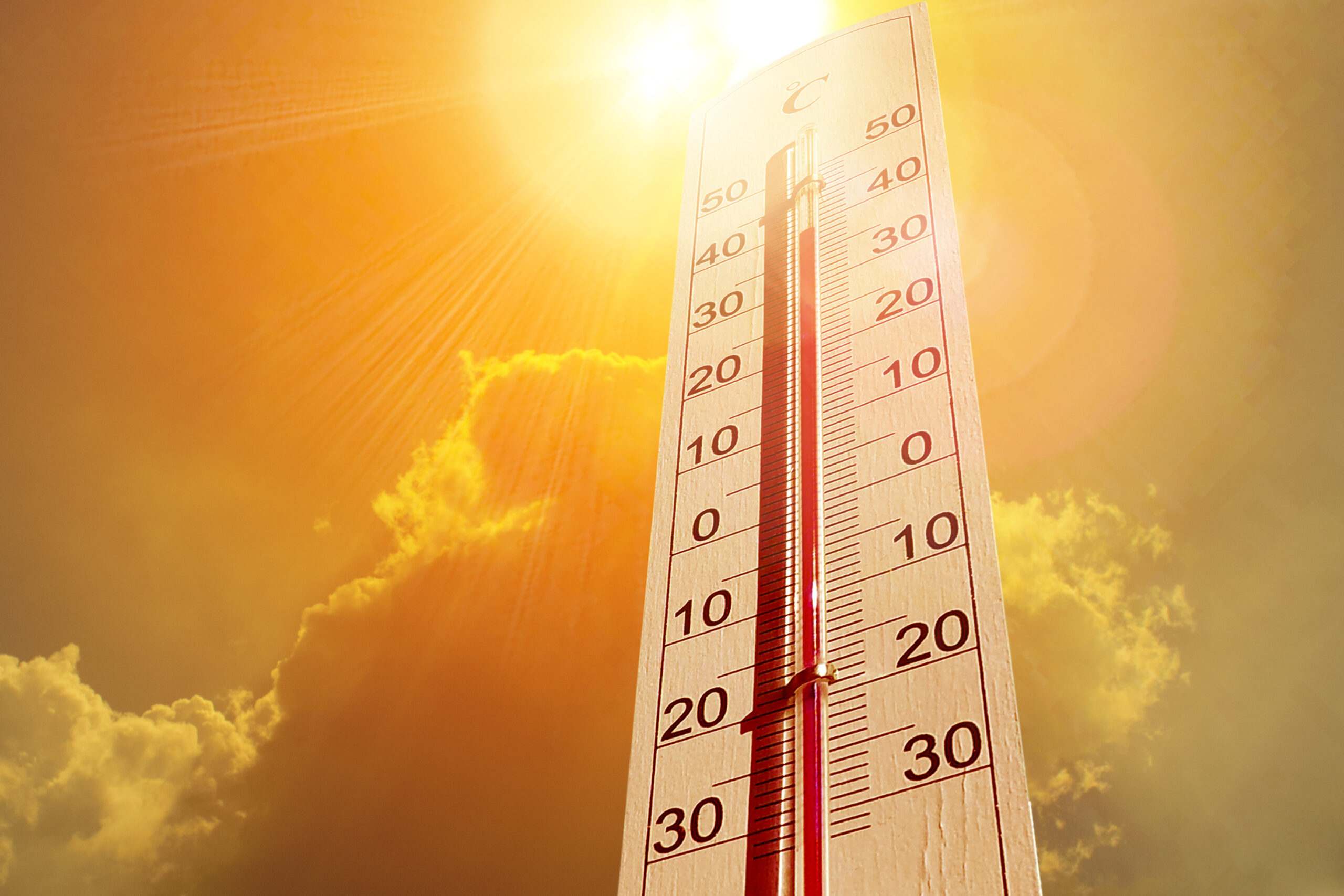 Record Breaking , at 25 degrees Celsius Srinagar