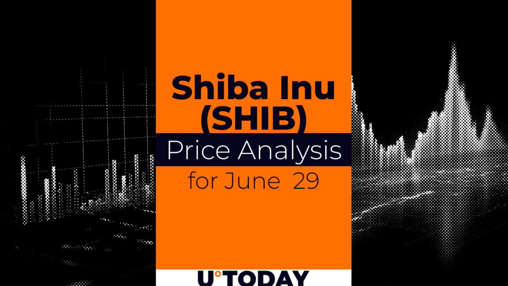 SHIB Price Prediction for June 29