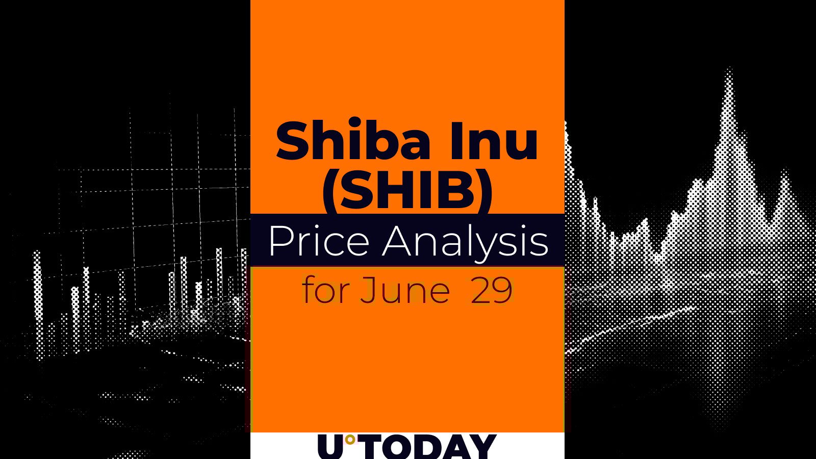SHIB Price Prediction for June 29