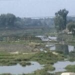 Authorities Urge Judicious Water Use Amid Rising Temperatures in Kashmir