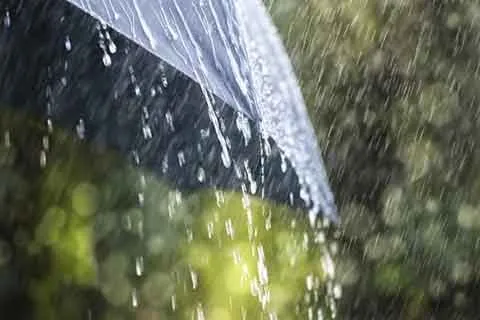 Kupwara receives much-needed rainfall