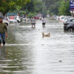 کئی ریاستوں میں شدید بارش کو لے کر الرٹ، ہماچل میں سیلاب-لینڈ سلائڈ کی وارننگ، یوپی میں کئی علاقے زیر آب