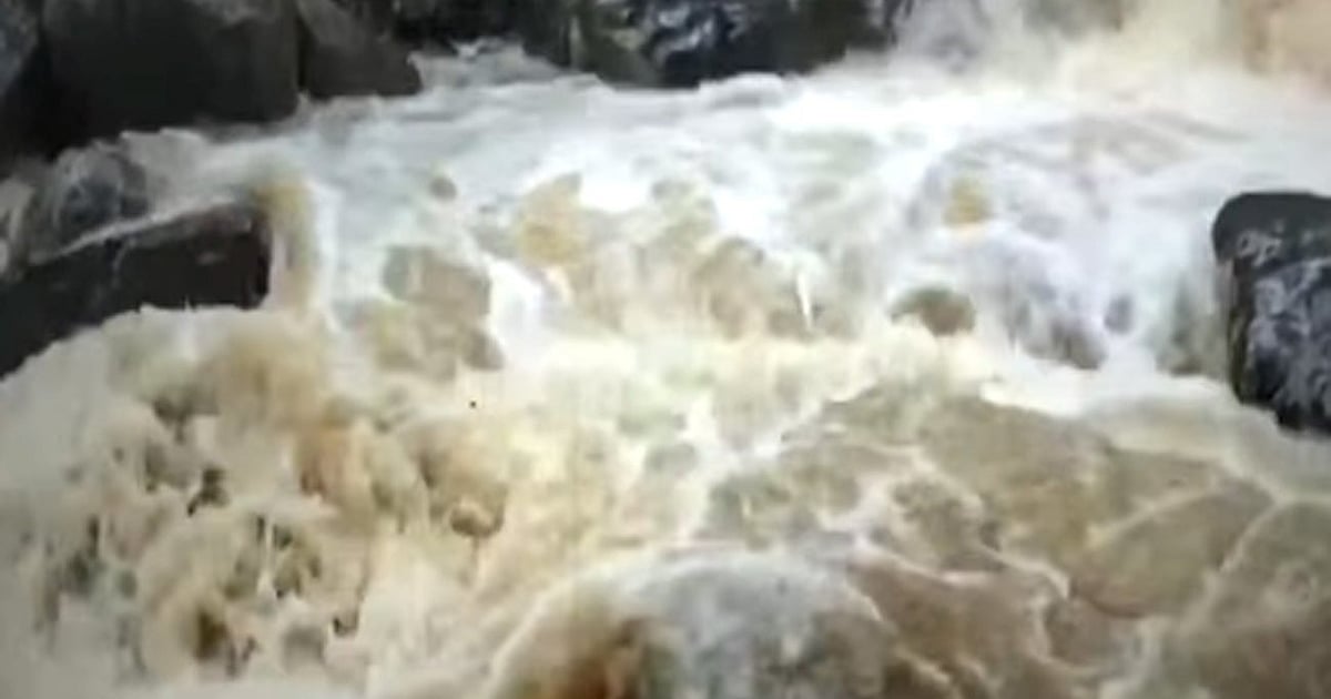 مانسون پورے ملک میں سرگرم، کئی ریاستوں میں شدید بارش سے سیلاب جیسے حالات، محکمہ موسمیات کا الرٹ جاری