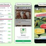 WhatsApp Announces Ads in Status, Channel Subscriptions, and More Features for Businesses