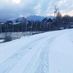 Back-to-back hailstorms crush harvest hopes in Baramulla